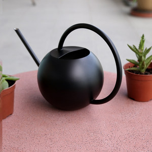 Arrosoir moderne <span class=keywords><strong>en</strong></span> acier inoxydable avec poignée <span class=keywords><strong>en</strong></span> bois, bec long, pour plantes d'intérieur, arrosoir de <span class=keywords><strong>jardin</strong></span> minimaliste nordique - Product Image 2