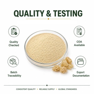 Extracto de Boswellia Serrata en Polvo al por Mayor OEM, 65% de Ácidos Boswellicos, Extracto Herbal Natural de Incienso Indio de Grado Cosmético - Product Image 2