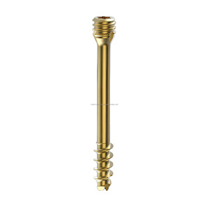 Tornillo de Compresión Canulado sin Cabeza Herbert para Centros Quirúrgicos, Hospitales Ortopédicos, Distribuidores Médicos, Proveedor Mayorista - Product Image 1
