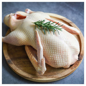 Pato Congelado Certificado Halal, Pato Fresco y Congelado Suministrado al por Mayor para Comercio Global - Product Image 2