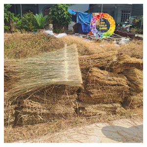 Natural Thatch CYPERUS-TYPHA SEWN GRASS <b>MAT</b> for Resorts Tropical Architecture <b>Beach</b> Resorts and Garden Parties Camping - CARYLN - Product Image 1