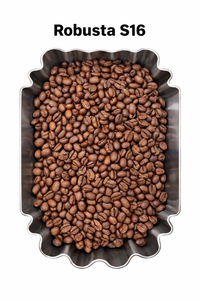 DHPONE Caffeinated <b>Coffee</b> Bean 100% Robusta Medium Roast Bitter Taste High Quality Lam Dong Vietnam 500g Use Phin <b>Filter</b> - Product Image 2