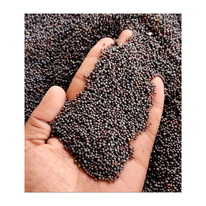 Semillas de Mostaza Enteras de Alta Calidad, Especias Naturales de Grado Alimenticio para Cocinar, Sazonar, Fabricación y Exportación Global - Product Image 1