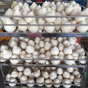 มะพร้าวขัดเงาคุณภาพสูง-คัดสรรมาอย่างดีและบรรจุอย่างถูกสุขลักษณะ - Product Image 6