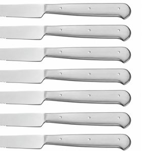Ensemble de 8 couteaux à steak en argent avec lames dentelées et manches argentés rivetés dans une boîte de présentation noire pour une utilisation sur la table à manger - Product Image 5