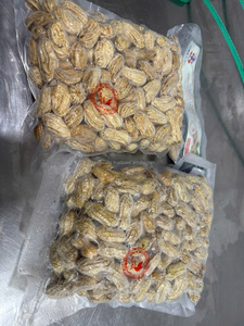 Số lượng lớn đậu phộng luộc đông lạnh trong vỏ từ Việt Nam cho siêu thị và nhà hàng sử dụng sản xuất thực phẩm & Bán Lẻ - Product Image 2