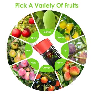 Asta Raccoglifrutta Rinforzata da 4,10 m con Sacco di Raccolta, Cesto e Imbuto per la Raccolta di Frutta ad Alta Portata - Product Image 5