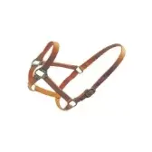 เครื่องอุปโภคบริโภคสัตวแพทย์เชือกแขวนคอและเก็บเครื่องมือทางการแพทย์จากปากีสถานโดยการปลูกถ่าย dentric - Product Image 3