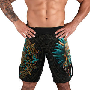 Shorts MMA 100% polyester, dernière collection, pour Muay Thai, UFC, entraînement, combat, boxe, shorts de sport MMA, service OEM ODM - Product Image 3