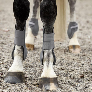Lightweight <b>Equestrian</b> Horse Tendon Boots With Reinforced Shell And Durable Horse Tendon Boots For Everyday Riding - Product Image 5