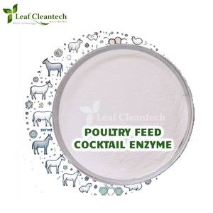 Enzimas de cóctel de alimentación para aves de corral, enzimas de alto grado para alimentación animal, Soluciones versátiles de Bangalore, Karnataka, India - Product Image 1