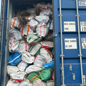 Palos de Escoba de Coco y Bambú de Vietnam (Nipah) - Marca KMI, Herramientas de Limpieza Ecológicas y al Mejor Precio al por Mayor - Product Image 4