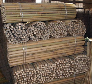 cheap price-Strong Bamboo <b>Poles</b> <b>for</b> Farming <b>Garden</b> Big Round Bamboo <b>Poles</b> Wholesale Best Price Bamboo <b>Pole</b> From Vietnam - Product Image 3