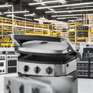 Componentes Principales Flametech: Bomba para Parrilla Eléctrica de 220V, Peso 70g, Fabricado en Maharashtra - Product Image 2