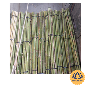[VENTE CHAUDE] |   Poteaux en bambou robustes pour clôtures extérieures et supports de construction de Blue Lotus Farm - Product Image 1