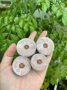 Discos de fibra de coco ecológicos de primera calidad para germinación de semillas, pastillas de turba de coco para el cultivo de plantas. - Product Image 4