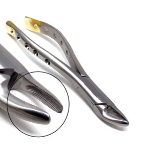 Forceps d'extraction dentaire chirurgicaux légers, tendance du moment, prix raisonnable, vente chaude, forceps d'extraction dentaire au meilleur style - Product Image 5