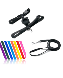 Venta caliente Moderno Estilo H Arnés Correa Conjunto Durable Silicona Air Tag Protector Liberación Rápida Personalizado Moda Sólido Mascotas - Product Image 1