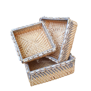 Cesta de Almacenamiento de Ratán Tejida a Mano con Borde de Conchas Marinas Naturales, Ecológica, para Cocina y Armario, Decoración Costera, Caja de Regalo - Product Image 2