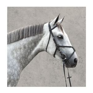 Brida de cuero de una sola corona, sillín occidental inglés acolchado y elevado para protección contra roces y pellizcos - Product Image 5