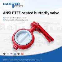 Vanne papillon API 609 en PTFE, classe 150, type Wafer, en acier au carbone et acier inoxydable, à vis sans fin, pneumatique, électrique, résistante à la corrosion acide et alcaline