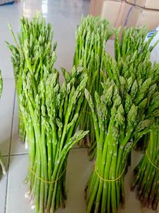 หน่อไม้ฝรั่งสีเขียวสดของเวียดนามหอกที่เก็บเกี่ยวทุกวันมีสุขภาพดีส่งตรงจากฟาร์ม - Product Image 2