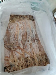 ปลาหมึกแห้งธรรมชาติจากเวียดนาม ขายส่งอาหารทะเลแห้ง ปลาหมึกแห้งสำหรับร้านอาหาร บริการจัดส่งอาหาร ตลาดค้าปลีก และผู้นำเข้า - Product Image 5