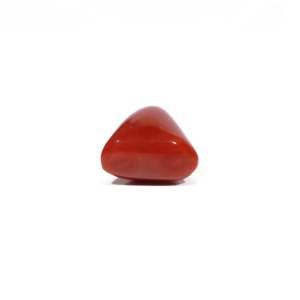Natural Red Coral Oval Cabochon 18.15 Carat Loose Gemstone for Fine Jewelry - Product Image 3