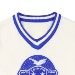 เสื้อสเวตเตอร์สีงาช้าง คอวี ติดกระดุม แบรนด์ Zeta Phi Beta สำหรับชมรมนักศึกษา ขายส่งเสื้อผ้าสไตล์กรีกแบบกำหนดเอง ไม่เป็นขุย - Product Image 3