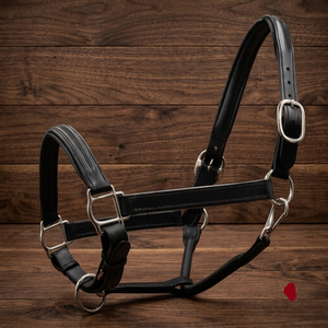 Licol pour cheval en cuir robuste et résistant, double épaisseur, rembourré, avec boucle de tête réglable et anneau, tailles personnalisées, commande en gros - Product Image 3