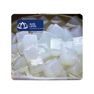 [สินค้าขายดี] วุ้นมะพร้าวเกรดอาหาร รสผลไม้ น้ำเกลือน้อย สำหรับเครื่องดื่ม ของหวาน ใช้ในธุรกิจอาหาร ผลิตในเวียดนาม - Product Image 1