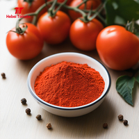 Poudre de tomate pure naturelle séchée par pulvérisation, sac de 25 kg, assaisonnement de tomate déshydratée, ketchup, pour la fabrication de pizzas, Halal, en vrac, usine Hebei Chine