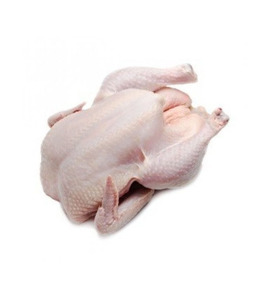 Pollo Entero Congelado Halal Premium Grado A BQF para Asar, Grillar y Hacer Caldo - Product Image 3