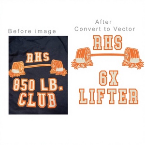 Impression de t-shirts graphiques personnalisés de haute qualité, impression de logo en sérigraphie, dessin vectoriel, services d'impression d'emballages, organza, soie, daim, satin - Product Image 1