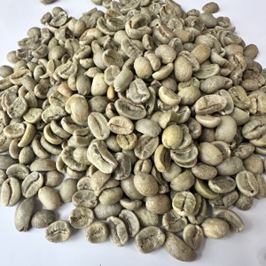 เมล็ดกาแฟเวียดนามอาราบิก้าสีเขียว S13S16 S18 แบบล้างสะอาดทั้งหมด จำหน่ายส่งจำนวนมากสำหรับผู้นำเข้าและผู้ค้าส่งกาแฟยุโรป ANNA - Product Image 2
