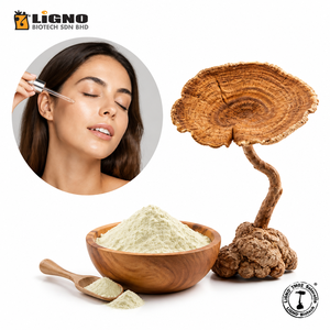 LiGNO TM02-Ex Extracto de Hongo Leche de Tigre, Ingrediente Cosmético Líquido a Base de Agua, Proveedor Botánico Premium OEM/ODM - Product Image 1