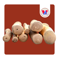 Bâtonnets à mâcher en bois de café premium, os en bois naturel de Java pour mâcheurs agressifs, jouet d'hygiène buccale, toutes tailles, personnalisable