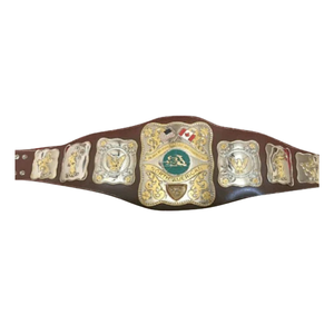 Cinturón de Campeonato de Lucha Libre Norteamericana, Trofeo Personalizado de Alta Calidad para Coleccionistas - Product Image 1