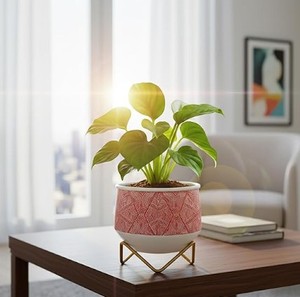 Macetero de Hierro Mediterráneo para Uso en Interiores y Exteriores - Duradero y Ecológico - Product Image 5