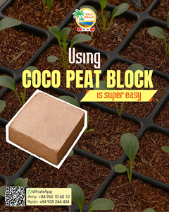 Bloque de Fibra de Coco Ecológico de Primera Calidad, 100% Fibra de Cáscara de Coco, Origen Ben Tre - Product Image 1
