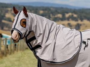 Léger 100% coton personnalisé Dressage utiliser tapis de cheval Combo bleu clair sangle capuche toutes saisons accessoires de cheval Premium - Product Image 4