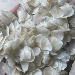 Écailles de poisson du fabricant pour l'exportation, écailles de tilapia/écailles de poisson brutes pour l'extraction de collagène en provenance du Vietnam - Product Image 2