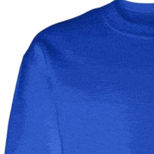 Sudadera con Cuello Redondo y Escudo del Símbolo de Sigma Gamma Rho, Sudadera Personalizada de la Hermandad Griega, Sudadera Informal de Felpa para la Universidad y el Día a Día - Product Image 3