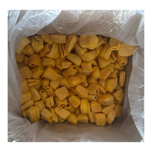 Ingredientes de Jaca Congelada Premium para Empresas Alimentarias Globales Producidos a partir de Jaca Fresca Seleccionada - Product Image 1