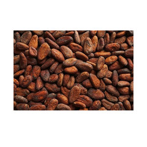 Granos de Cacao Secos de Buena Calidad, Grado A, Polvo de Cacao, Manteca de Cacao/ Cacao/ Granos de Chocolate - Product Image 5