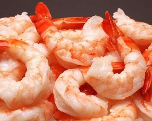 High Protein Krill (Baby Shrimp) | Feed Ingredient | Vietnam Export Supplier - Product Image 5