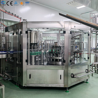 Complete geconcentreerde fruitsap-menglijn, productielijn passievruchtensap