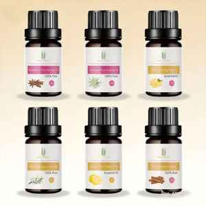 Aceite Esencial de Jengibre Lembaco al por Mayor, Grado Terapéutico Puro, a Granel, de Fábrica, 1kg, 100% Extracto Vegetal Destilado para Todos - Product Image 5