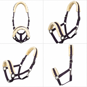 Cabestro de Nailon de Lujo y Confort para Caballos y Ponis de Divine International - Product Image 1