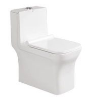 Classique De Luxe Blanc Coloré Bidet Toilette En Céramique Une Pièce Sanitaire Salle De Bains Commode WC Cuvette De Toilette
